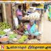 கிளீன் சிறிலங்கா திட்டத்தின் கீழ் நடைபாதை வியாபாரிகளும் கைதா?; ஊடக அமைச்சர் விளக்கம்!