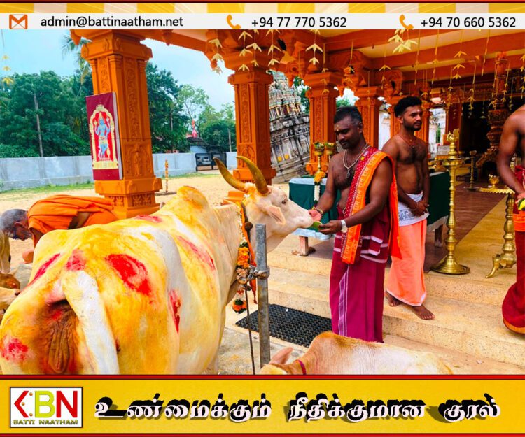 குலம்காக்கும் பசுவை காப்போம் எனும் தொனிப்பொருளில் கல்லடி திருச்செந்தூர் முருகன் ஆலயத்தில் பட்டிப்பொங்கல் நிகழ்வு