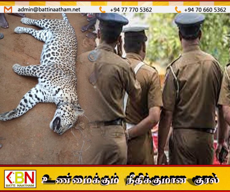 புஸ்ஸலாவ பகுதியில் சிறுத்தை சடலமாக மீட்பு