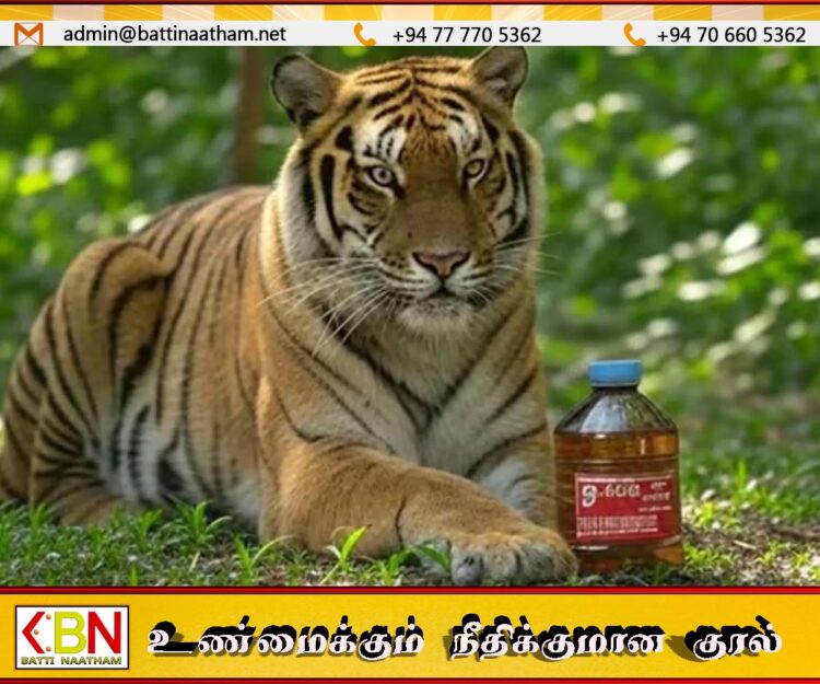 புலியின் சிறுநீரை முடக்கு வாத மருந்து எனக்கூறி விற்பனை