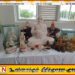 யாழில் கரையொதுங்கிய வீட்டிற்குள்ளிருந்த புத்தர் சிலைகளை மீட்டு கொண்டு சென்ற பொலிஸார்