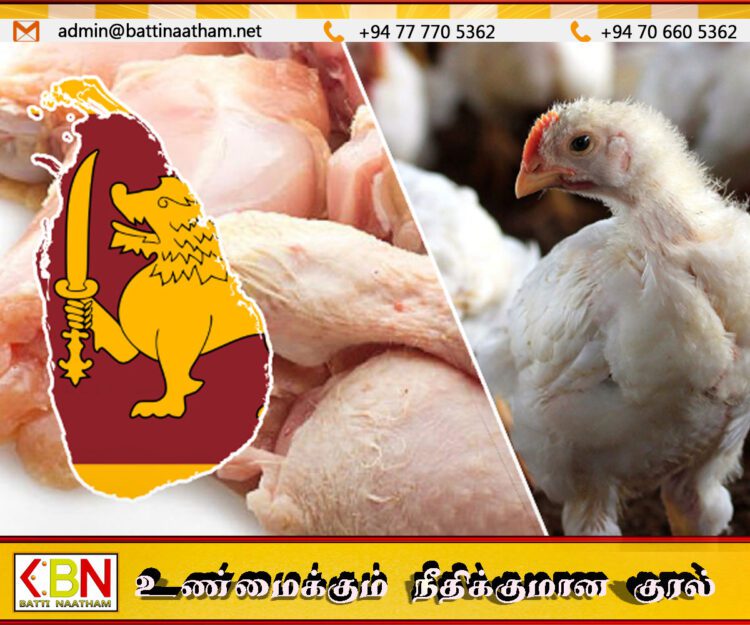 நாளாந்த கோழி இறைச்சி விற்பனை 100 மெற்றிக் தொன்களினால் குறைவு