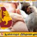 நாளாந்த கோழி இறைச்சி விற்பனை 100 மெற்றிக் தொன்களினால் குறைவு