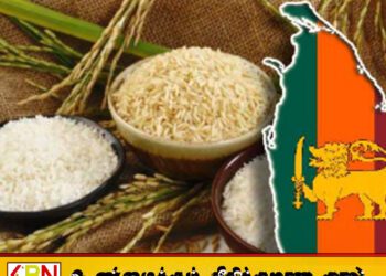 இனி அரிசி இறக்குமதி மேற்கொள்ளப்பட மாட்டாது; ஆர்.எம். ஜயவர்தன