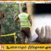 நுளம்புக்கு புகை மூட்டிய சமயம் ஆடையில் தீப்பிடித்து முதியவர் உயிரிழப்பு