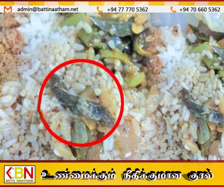 நாவலப்பிட்டி வைத்தியசாலை உணவகத்தில் நோயாளி கொள்வனவு செய்த உணவு பொதியில் பல்லி