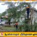 கிளிநொச்சியில் நெற்களஞ்சியசாலையை துப்பரவு செய்த இராணுவத்தினர்