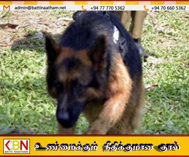 திருடனை 4 கிலோ மீற்றர் தேடிப்பிடித்த ஜோனி என்ற மோப்ப நாய்