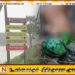 மட்டு கல்லடி பாலத்துக்கு அருகாமையிலுள்ள வாவியில் அடையாளம் காணப்படாத பெண்ணின் சடலம் மீட்பு!