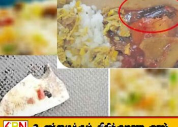 கொழும்பு துறைமுக சிற்றுண்டிச்சாலையில் கரப்பான் பூச்சி; முன்வைக்கப்பட்டுள்ள குற்றச்சாட்டு