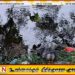 கழிவுகள் கொட்டப்பட்டு அசுத்தமாக காணப்படும் தென் எருவில் பற்று பிரதான வீதி;பொதுமக்கள் விசனம்