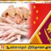 கோழியின் தலை மற்றும் கால்களை இலங்கையிலிருந்து நேரடியாக சீனாவிற்கு ஏற்றுமதி