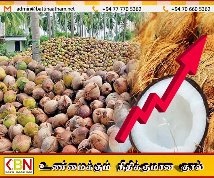 தேங்காயின் விலை 300 ரூபா வரையில் உயரும் என எச்சரிக்கை