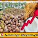 தேங்காயின் விலை 300 ரூபா வரையில் உயரும் என எச்சரிக்கை
