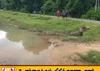 போரதீவுப்பற்றில் நீரில் மூழ்கி குழந்தை உயிரிழப்பு!