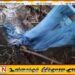 மீன்பிடி வலையில் சிக்கிய மனித எலும்புகள்
