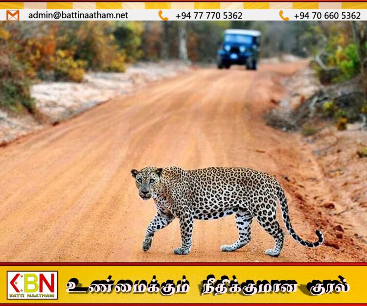 வில்பத்து தேசிய பூங்காவிற்கு மறு அறிவித்தல் வரை பூட்டு