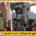 யாழ் பகுதியொன்றில் இயேசு சிலையின் காலிலிருந்து கசியும் நீர்
