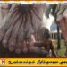 யாழில் இயேசுவின் சிலையிலிருந்து கசியும் நீர்