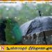 இன்றைய காலநிலை மாற்றம்