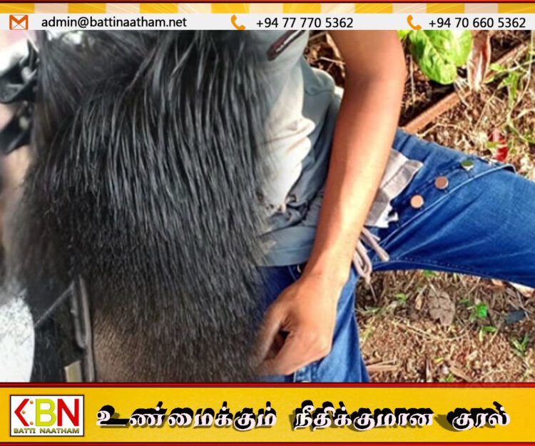 தாயின் மீது கோபத்தினால் மகன் எடுத்த விபரீத முடிவு