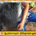 தாயின் மீது கோபத்தினால் மகன் எடுத்த விபரீத முடிவு