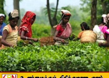 1948 ஆண்டு கிடைத்த சுதந்திரமும் மலையக மக்களும்