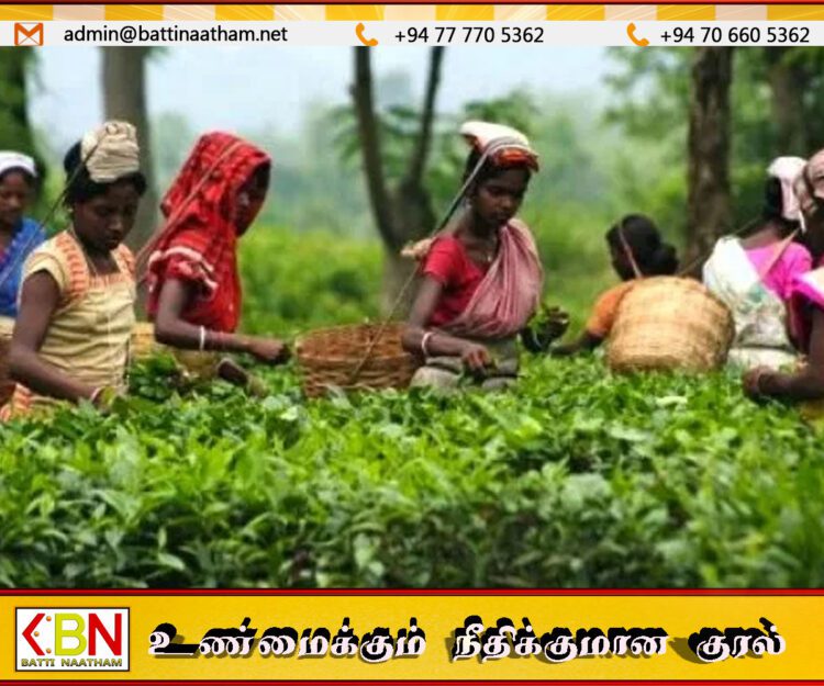 1948 ஆண்டு கிடைத்த சுதந்திரமும் மலையக மக்களும்