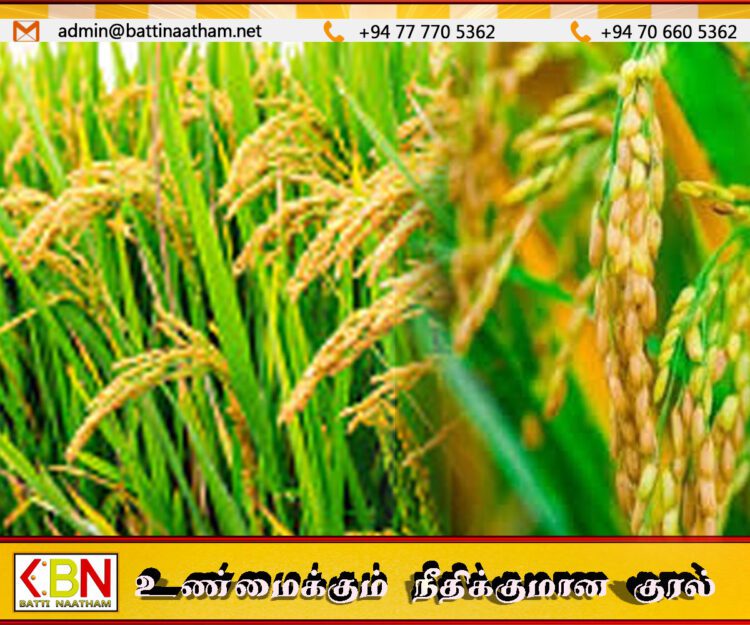 நெல்லுக்கான நிர்ணய விலையை அறிவித்த அரசாங்கம்