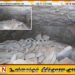 எகிப்தில் 3500 ஆண்டுகள் பழமை வாய்ந்த கல்லறை கண்டுபிடிப்பு
