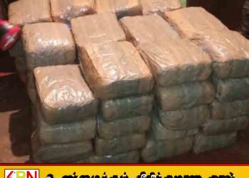 லொறியில் கொண்டு செல்லப்பட்ட 400 கிலோகிராம் கேரள கஞ்சா பறிமுதல்