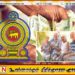 70 வயதுக்கு மேற்பட்ட முதியோர்களுக்கான கொடுப்பனவு உதவித்தொகை