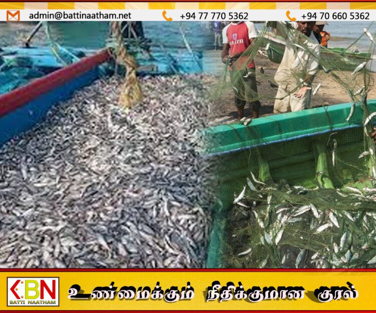 கட்டைக்காடு கடற்றொழிலாளர்கள் சட்டவிரோத முறையில் மீன் பிடிப்பு; பல்லாயிரக் கணக்கான மீன் குஞ்சுகள் நாசம்