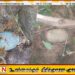 மட்டக்களப்பு கரடியனாறில் இரு குண்டுகள் மீட்பு
