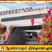 பண்டாரநாயக்க சர்வதேச விமான நிலையத்தில் கைதான பெண்