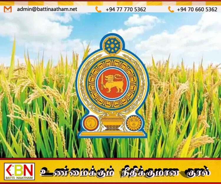 அரசாங்கம் விவசாயிகளிடம் இருந்து கொள்வனவு செய்துள்ள நெல்