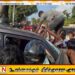 யாழ் மாவட்ட பதில் செயலாளரின் மகன் செலுத்திய தனிப்பட்ட சொகுசு வாகனம் வேகக்கட்டுப்பாட்டை இழந்து விபத்து
