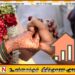 புதுமண தம்பதிகளுக்கான மகிழ்ச்சியான தகவல்; இலங்கை அரசின் அறிவிப்பு