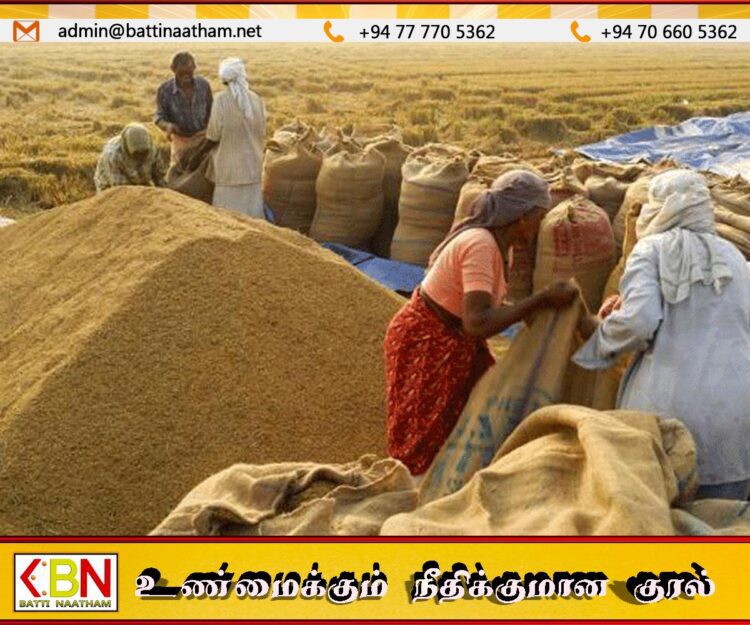 கிழக்கு மாகாணத்தில் குறைந்த விலைக்கு நெல்லை கொள்வனவு செய்யும் வியாபாரிகள்