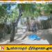 மனைவியை தாக்கிய மருமகன்; தடுத்த மாமனார் பொல்லால் அடிக்கப்பட்டு கொலை