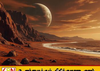 செவ்வாய் கிரகத்தில் 300 கோடி ஆண்டுகள் பழமையான கடற்கரைப் படிமங்கள் கண்டுபிடிப்பு