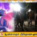 யாழில் தொலைக்காட்சி பார்க்க முயன்ற சிறுவனுக்கு நேர்ந்த துயர சம்பவம்