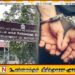 சட்டவிரோத வாகன இறக்குமதி; இலஞ்சம் பெற்ற பிரதி ஆணையாளர் கைது