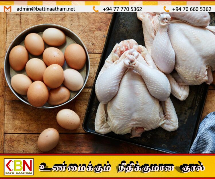 முட்டை மற்றும் கோழி இறைச்சியின் விலைகளில் வீழ்ச்சி; கோழிப்பண்ணை வியாபாரிகள் சங்கம் கவலை