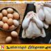 முட்டை மற்றும் கோழி இறைச்சியின் விலைகளில் வீழ்ச்சி; கோழிப்பண்ணை வியாபாரிகள் சங்கம் கவலை
