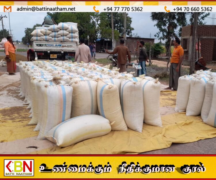 மட்டக்களப்பில் பெரும்போக நெல் அறுவடையில் பாரிய நட்டம்; விவசாயிகள் கவலை