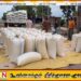 மட்டக்களப்பில் பெரும்போக நெல் அறுவடையில் பாரிய நட்டம்; விவசாயிகள் கவலை