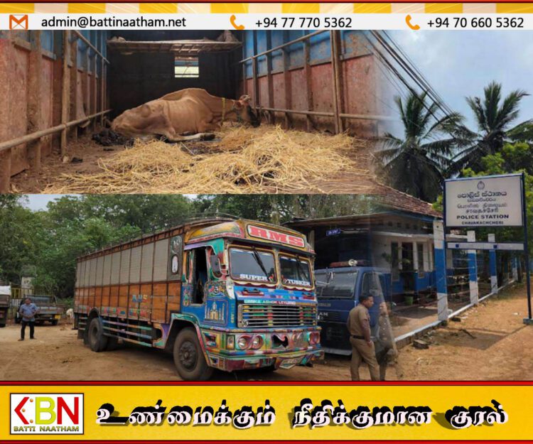 சட்டவிரோதமாக 18 மாடுகளை கடத்தியவர் கைது