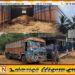 சட்டவிரோதமாக 18 மாடுகளை கடத்தியவர் கைது