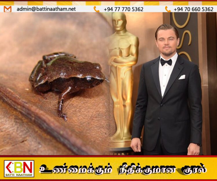 புதிய தவளை இனத்திற்கு டைட்டானிக் கதாநாயகனின் பெயர் சூட்டப்பட்டது
